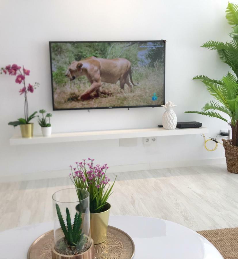 Stunning Spacious City Apartment With Free Parking Málaga Extérieur photo